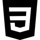 Technology: css logo